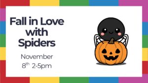 Fall in love with spiders